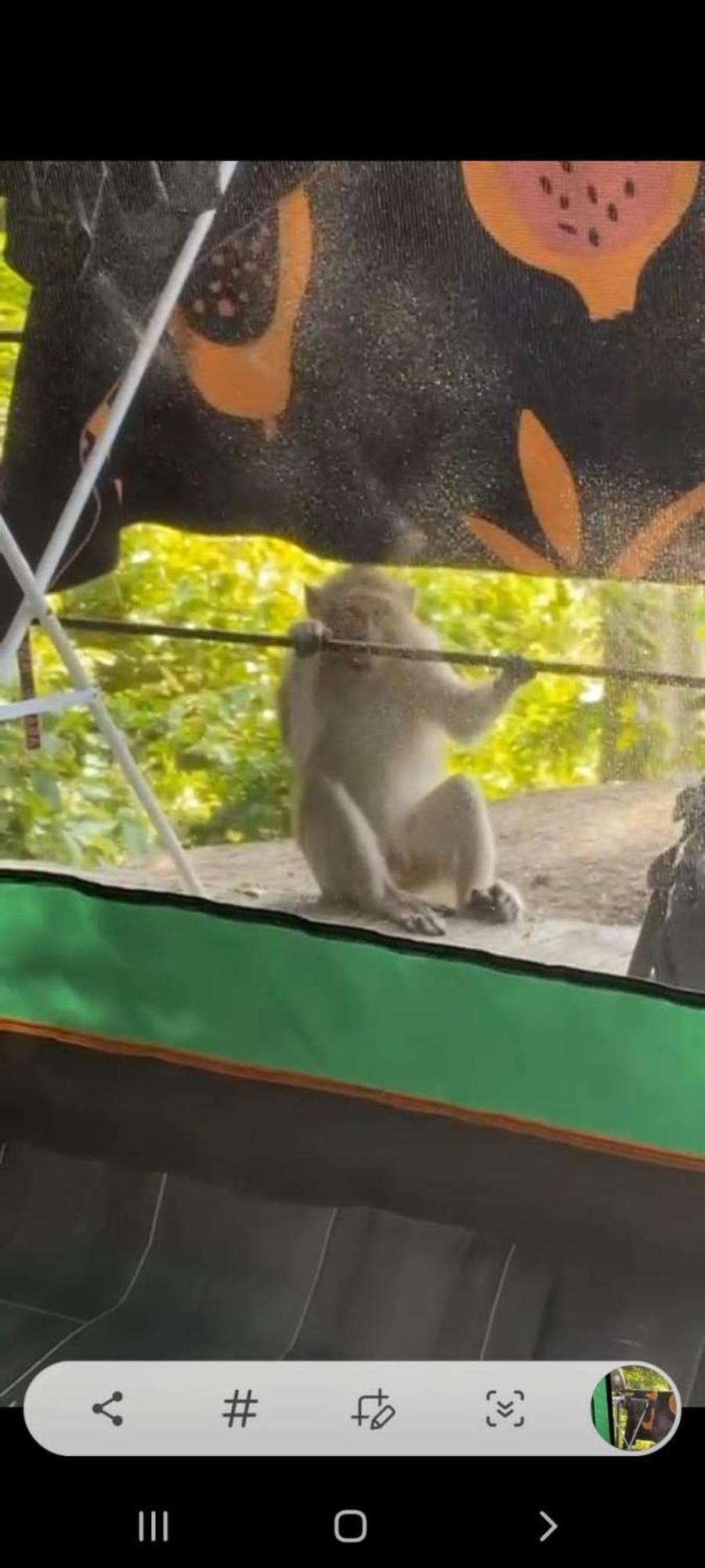 Joy Camping Haad Rin Dış mekan fotoğraf